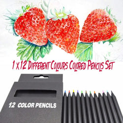 12 Pcs/Set Valued Color Pencil Packaging 12 Different Colours Colored Pencils Kawaii School Black Wooden Pencils High Quality