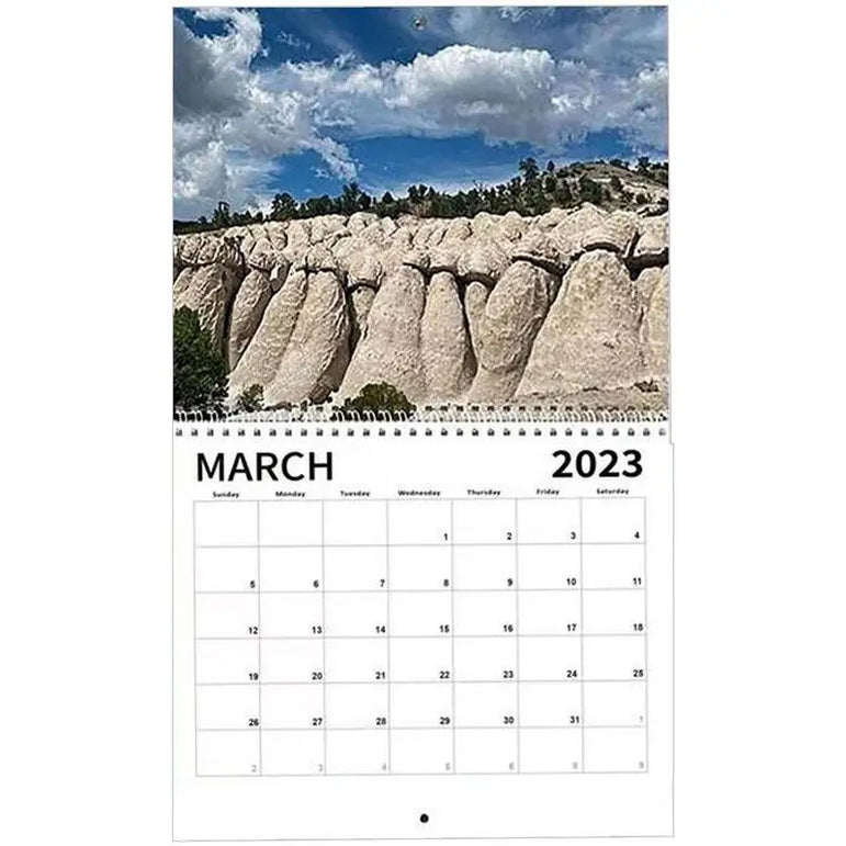 2023 Unique Nature Dick Pics Funny Nature Dicks Pics Wall Calendar Creative WhiteElephant And Secret Santa Gag Gift