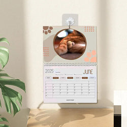 Cat Calendar 2025 January to December Calendar Cat Balls Calendar Cute and Aesthetic Decoration for Home Wall Decor