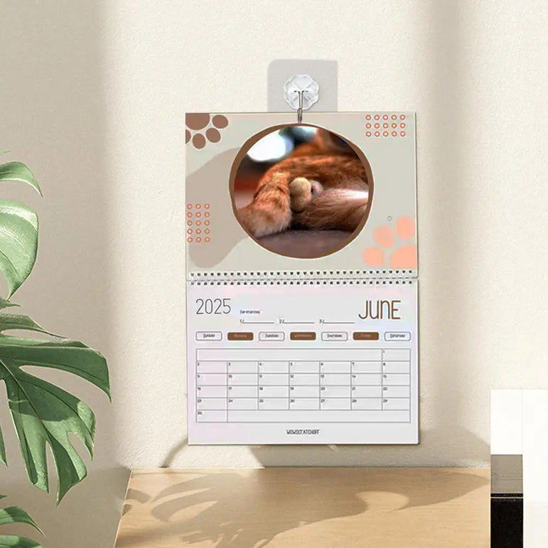 Cat Calendar 2025 January to December Calendar Cat Balls Calendar Cute and Aesthetic Decoration for Home Wall Decor