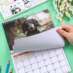 2025 Sausage Dog Themed Calendar, Dog New Year Wall Calendar, Fun Dog Themed Gifts for Dog Lovers, New Year Christmas Gifts