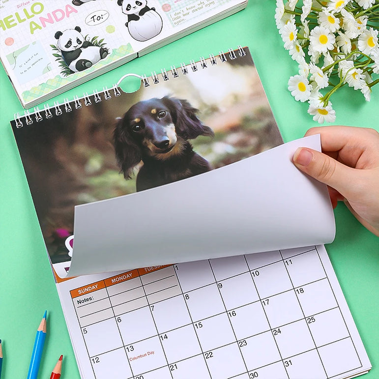 2025 Sausage Dog Themed Calendar, Dog New Year Wall Calendar, Fun Dog Themed Gifts for Dog Lovers, New Year Christmas Gifts