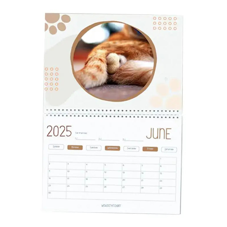 Cat Calendar 2025 January to December Calendar Cat Balls Calendar Cute and Aesthetic Decoration for Home Wall Decor
