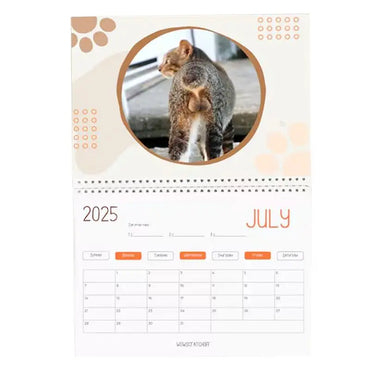 Cat Calendar 2025 January to December Calendar Cat Balls Calendar Cute and Aesthetic Decoration for Home Wall Decor