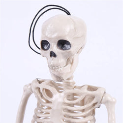 High Quality 40CM Human Anatomical Anatomy Skeleton Model Medical Learn Aid Anatomy human skeletal model Wholesale Retail