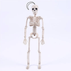 High Quality 40CM Human Anatomical Anatomy Skeleton Model Medical Learn Aid Anatomy human skeletal model Wholesale Retail