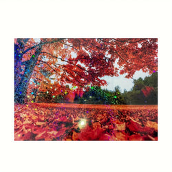 20 Sheets A4 Holographic Sand Star Cold Lamination Film 8.3×11.7 Inch Clear Self-Adhesive Vinyl Sticker Paper Waterproof Film