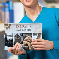 Cat Calendar 2025 January to December Calendar Cat Balls Calendar Cute and Aesthetic Decoration for Home Wall Decor