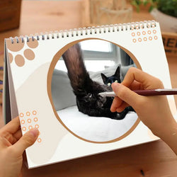 Cat Calendar 2025 January to December Calendar Cat Balls Calendar Cute and Aesthetic Decoration for Home Wall Decor