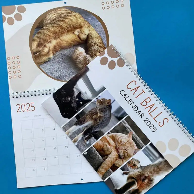 Cat Calendar 2025 January to December Calendar Cat Balls Calendar Cute and Aesthetic Decoration for Home Wall Decor