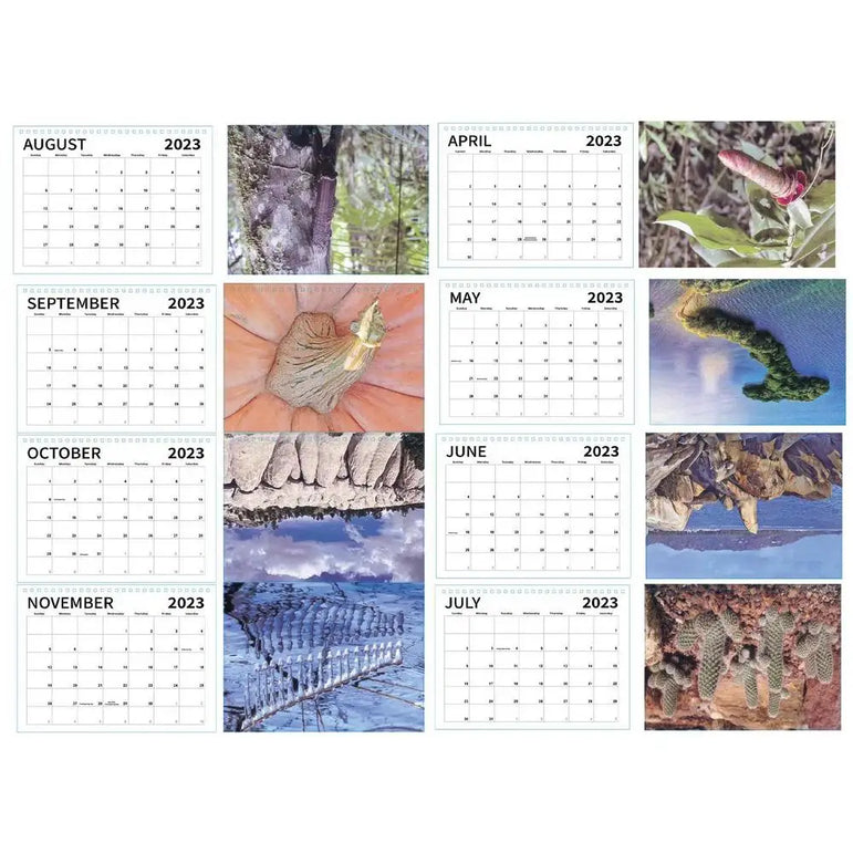 2023 Unique Nature Dick Pics Funny Nature Dicks Pics Wall Calendar Creative WhiteElephant And Secret Santa Gag Gift