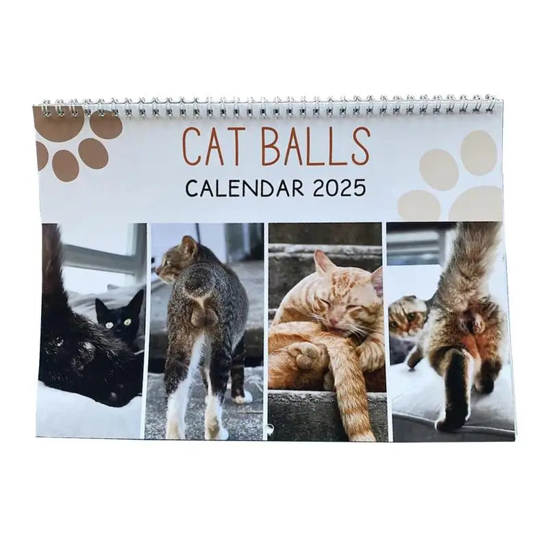 Cat Calendar 2025 January to December Calendar Cat Balls Calendar Cute and Aesthetic Decoration for Home Wall Decor