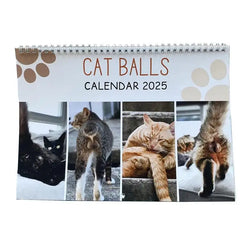 Cat Calendar 2025 January to December Calendar Cat Balls Calendar Cute and Aesthetic Decoration for Home Wall Decor