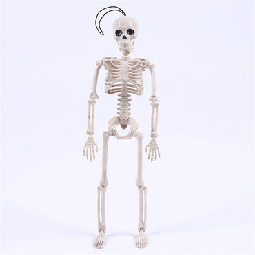 High Quality 40CM Human Anatomical Anatomy Skeleton Model Medical Learn Aid Anatomy human skeletal model Wholesale Retail