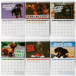 2025 Sausage Dog Themed Calendar, Dog New Year Wall Calendar, Fun Dog Themed Gifts for Dog Lovers, New Year Christmas Gifts
