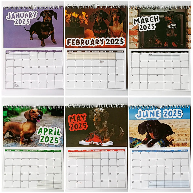 2025 Sausage Dog Themed Calendar, Dog New Year Wall Calendar, Fun Dog Themed Gifts for Dog Lovers, New Year Christmas Gifts