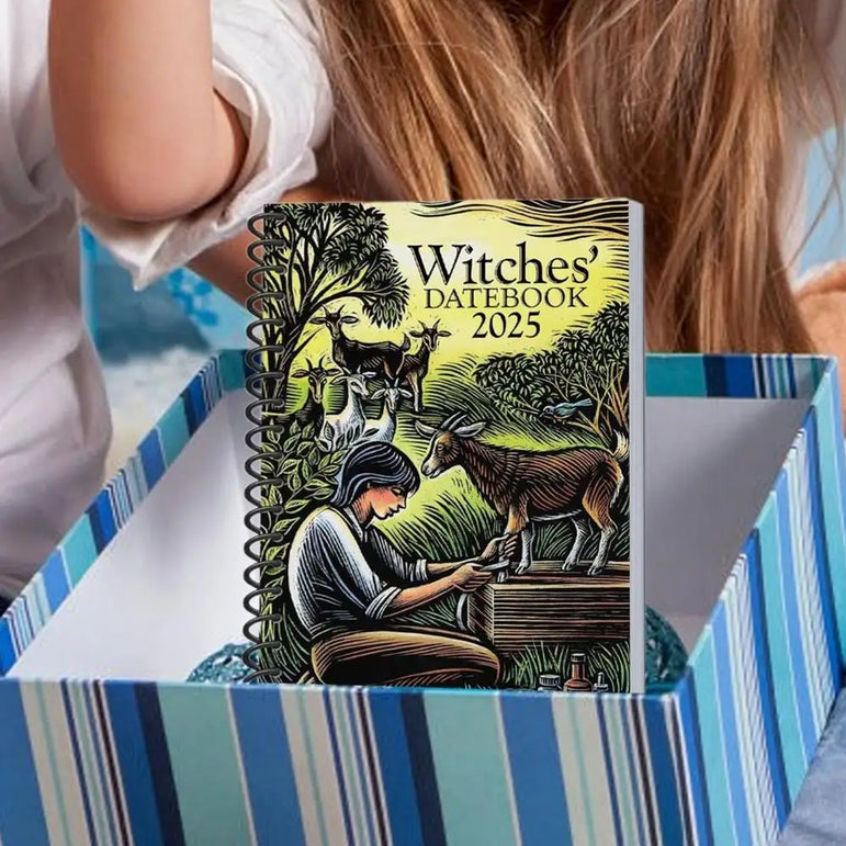 Witches Datebook 2025 Modern Witch's Grimoire Journal Beautiful Novelty Planner Weekly And Monthly For Family Friends