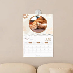 Cat Calendar 2025 January to December Calendar Cat Balls Calendar Cute and Aesthetic Decoration for Home Wall Decor